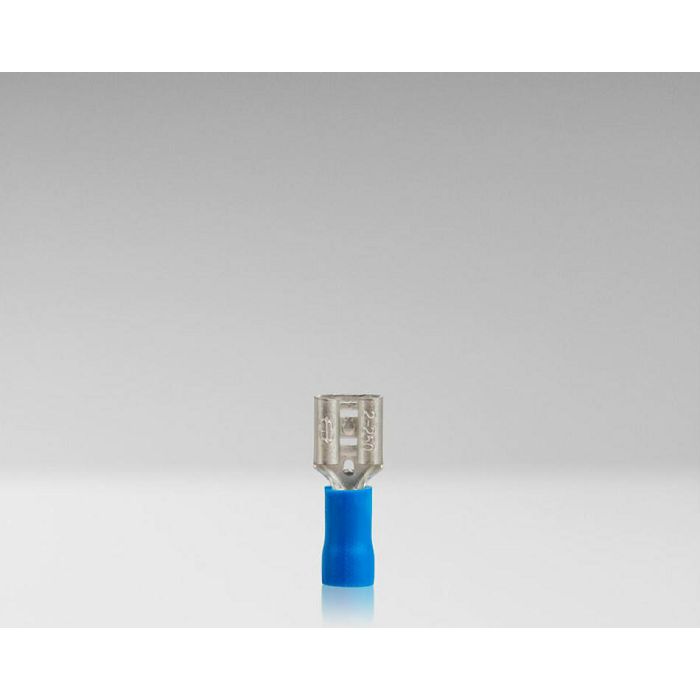 tck-178x-nn328_8247.jpg